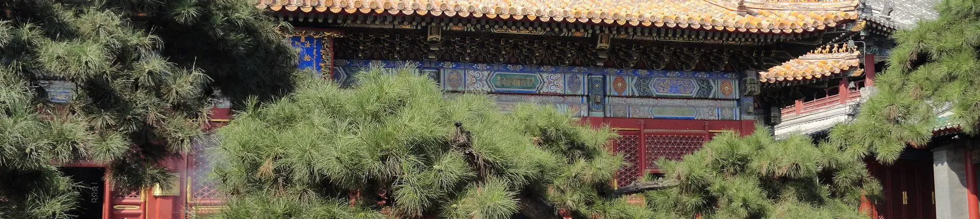 Red temple walls and painted roof beams among trees at Lama Temple, Beijing