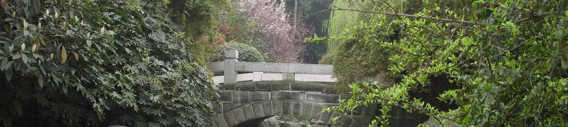 Steinerne Fußgängerbrücke spiegelt sich in einem schattigen Teich zwischen Bäumen im Huanhuaxi-Park in Chengdu