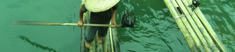 Guilin Cormorant Fishing