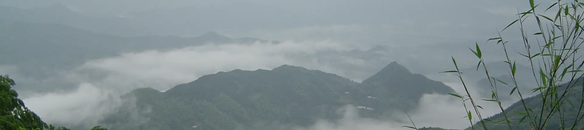 Misty ridges and wooded slopes on Jiuhuashan Mountain in Anhui
