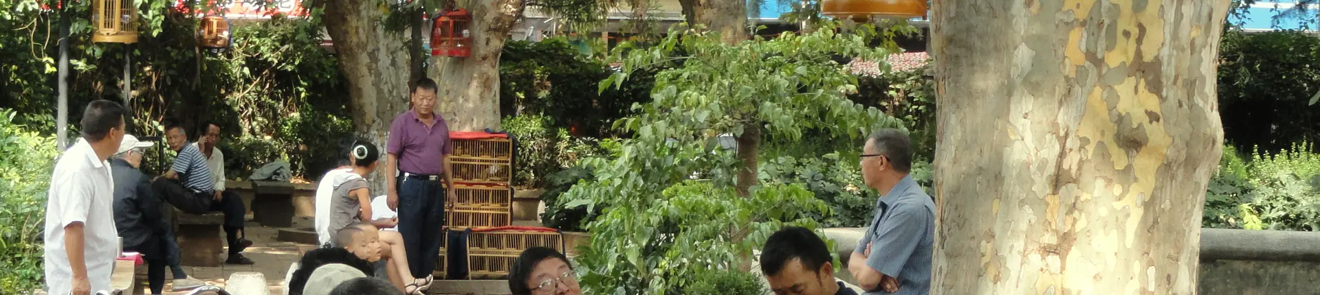 Birds and Flowers Market
