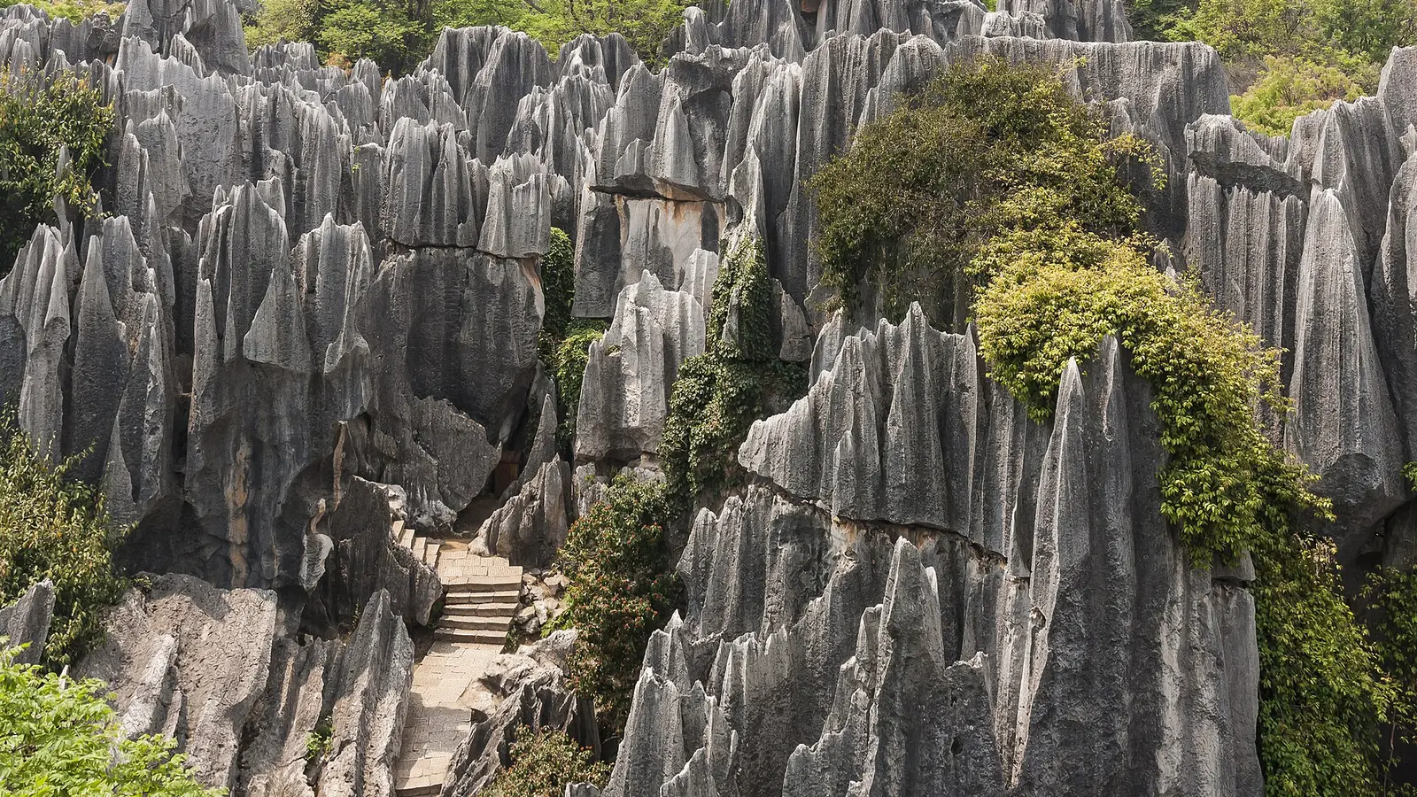 Stone Forest limestone pinnacles near Kunming on a Yunnan route