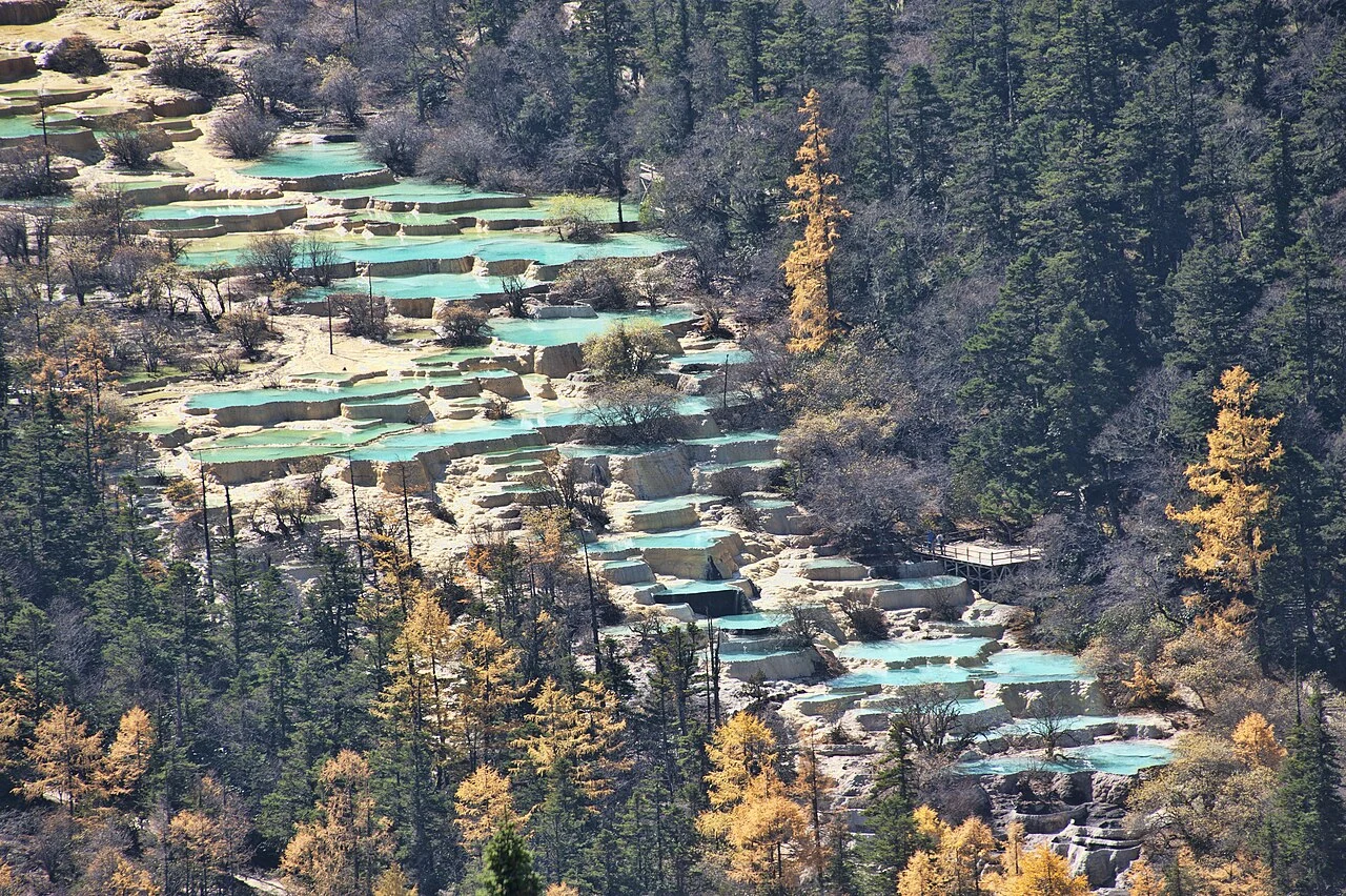 Türkisfarbene terrassenförmige Becken, die durch ein Waldgebiet bei Huanglong fließen