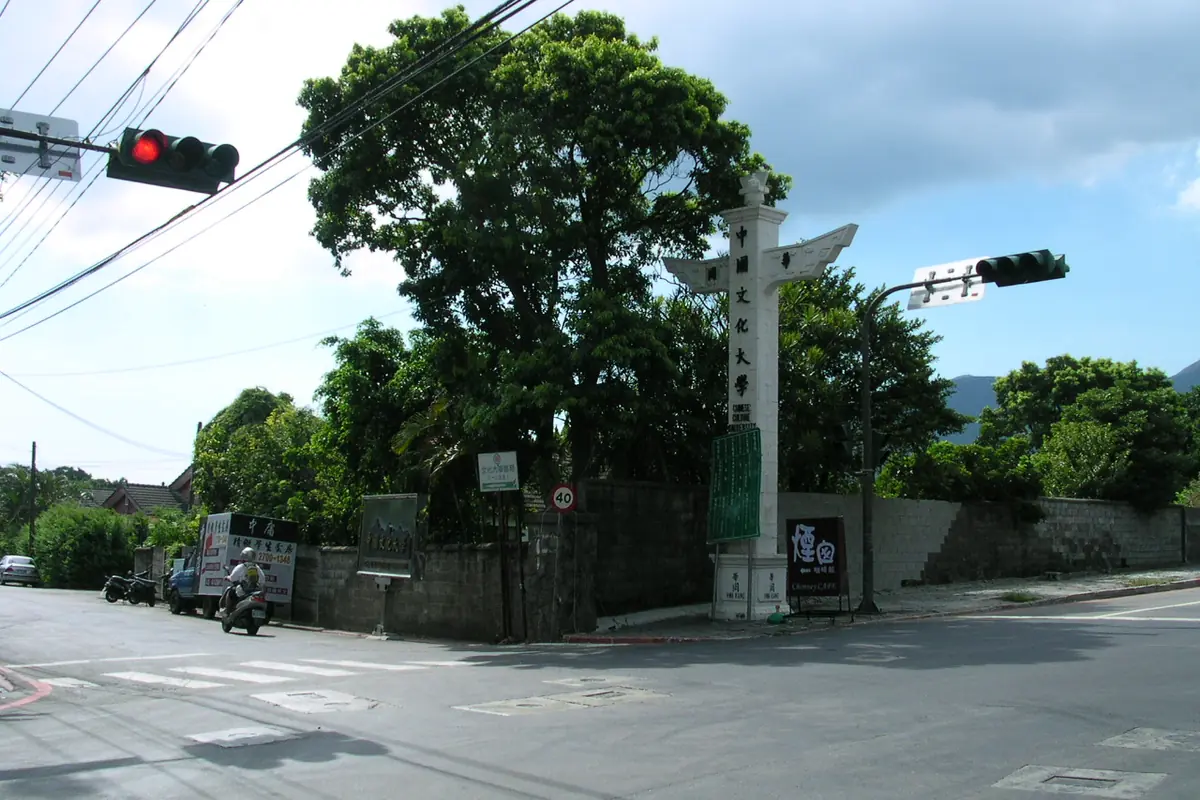 Street intersection beside large leafy trees and overhead traffic lights