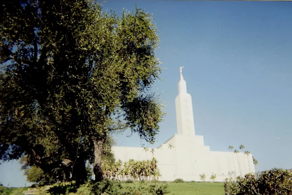 Weißes religiöses Gebäude mit hohem Mittelturm neben einem großen Laubbaum