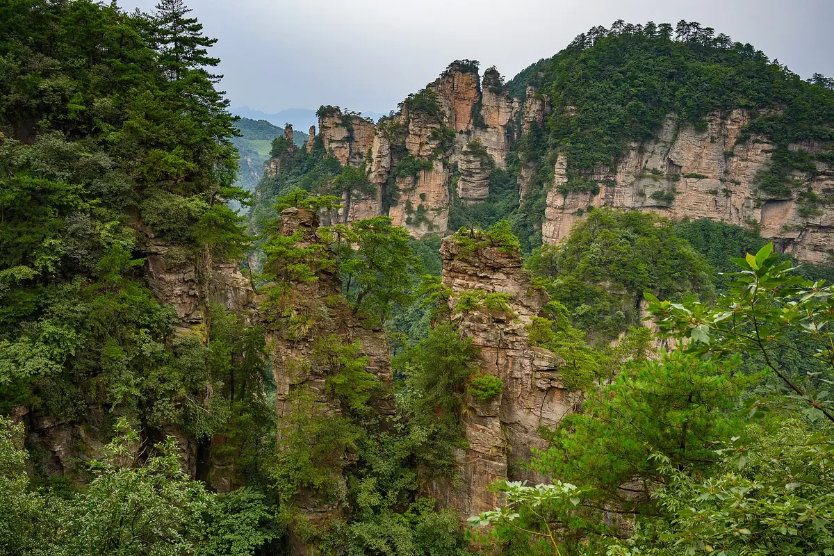 Forested sandstone cliffs rising above a wooded valley in Zhangjiajie