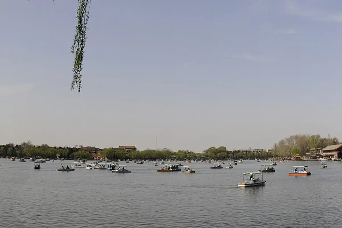 Small boats scattered across a lake beneath hanging willow branches