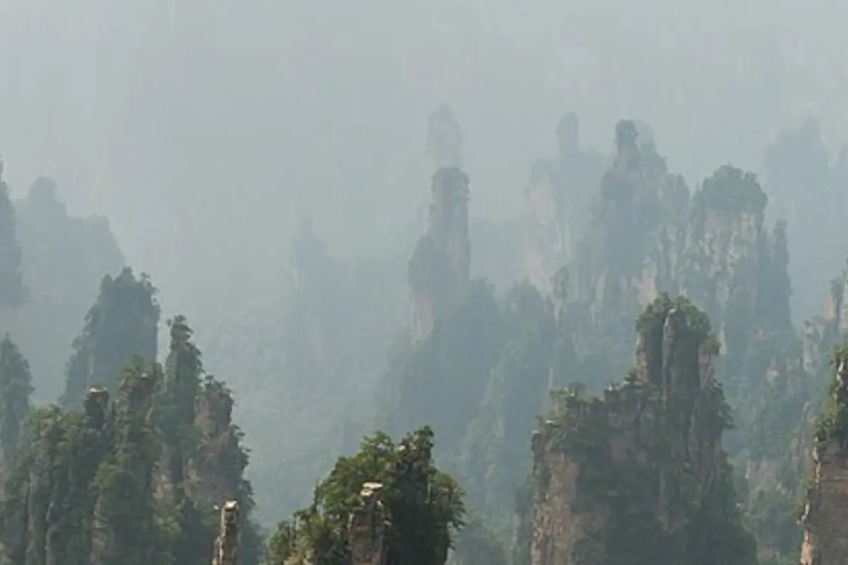 Tiang batu pasir yang dilitupi hutan menjulang menembusi kabus di Zhangjiajie