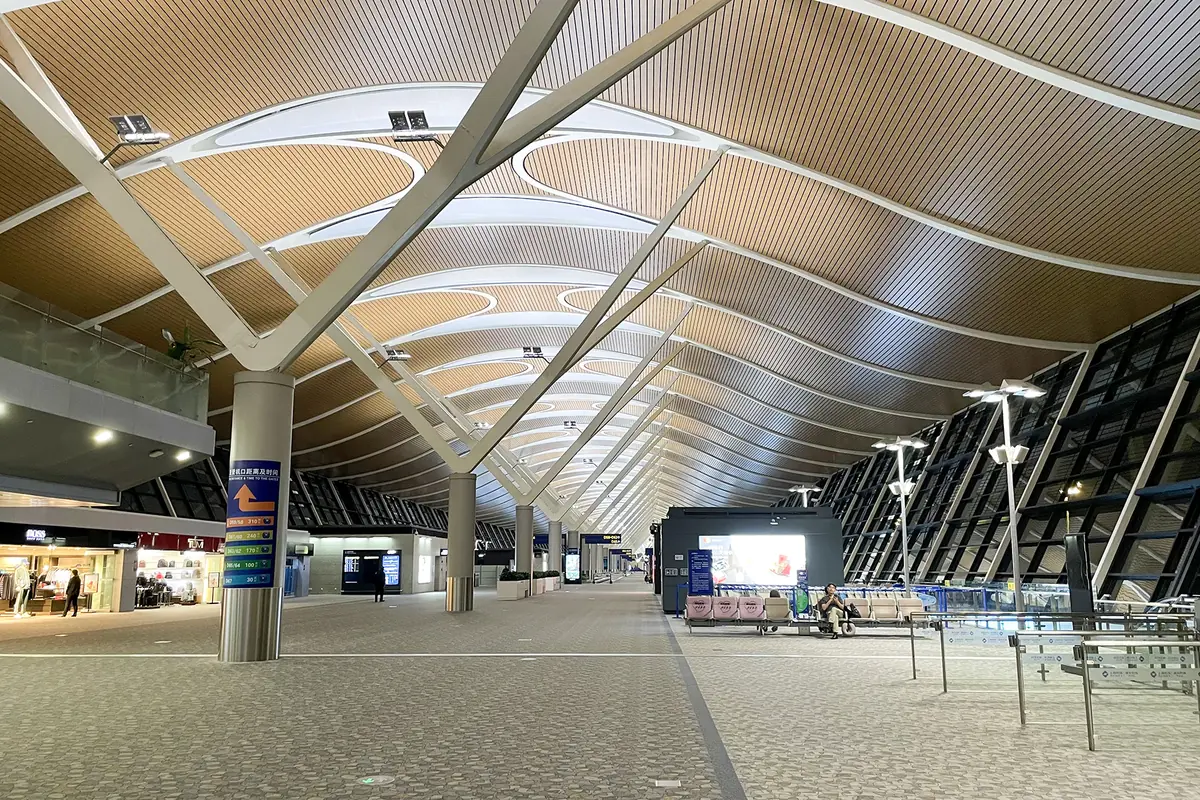 Spacious airport hall with branching white columns beneath a curved wooden ceiling
