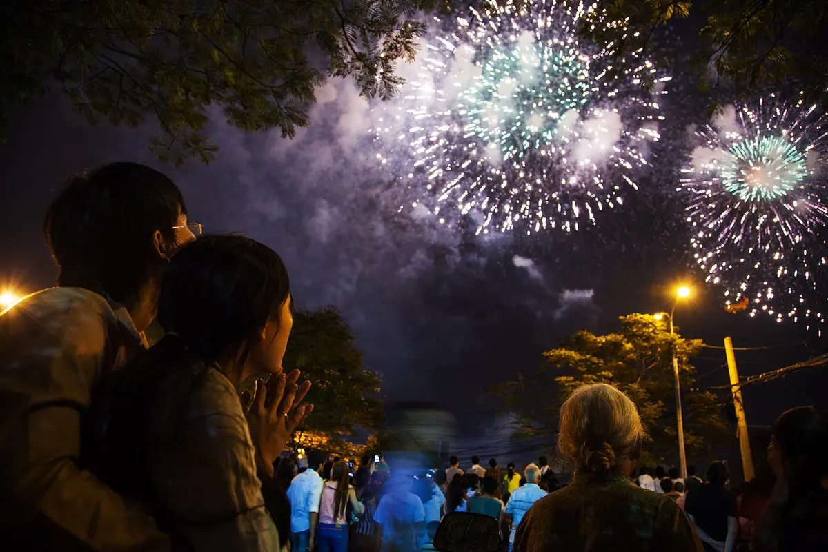 Spectators watching white fireworks burst above trees at night
