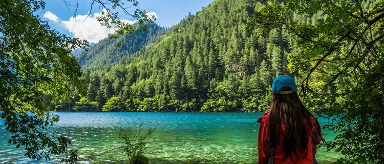 Visitor facing a turquoise lake beneath forested mountain slopes in Jiuzhaigou, Sichuan