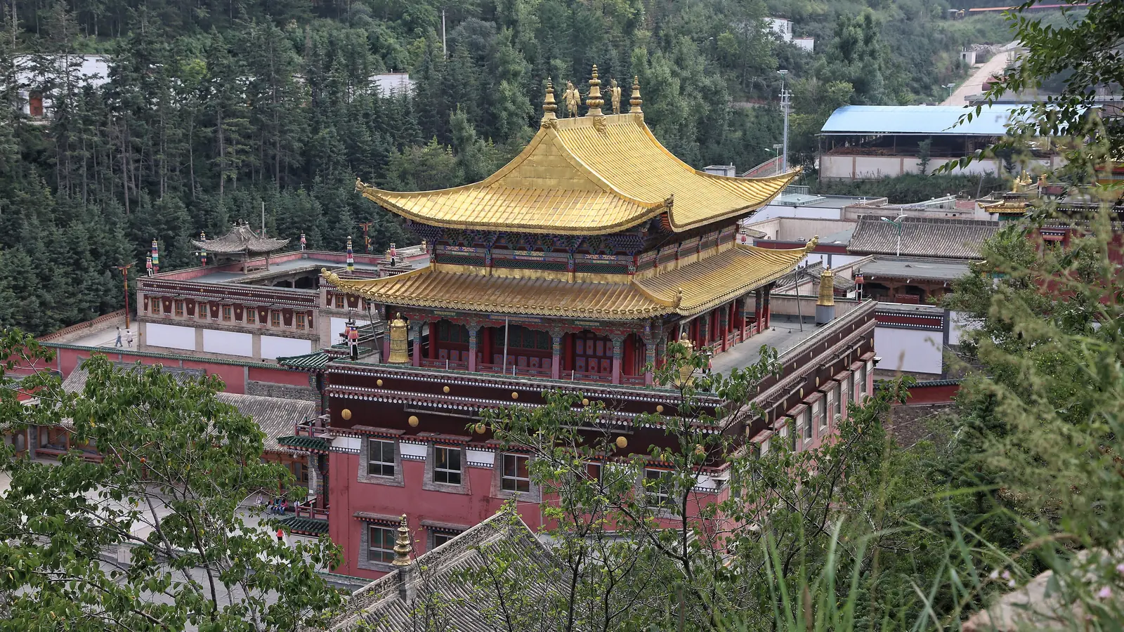 Golden-roofed monastery pavilion among wooded hills near Xining, Qinghai