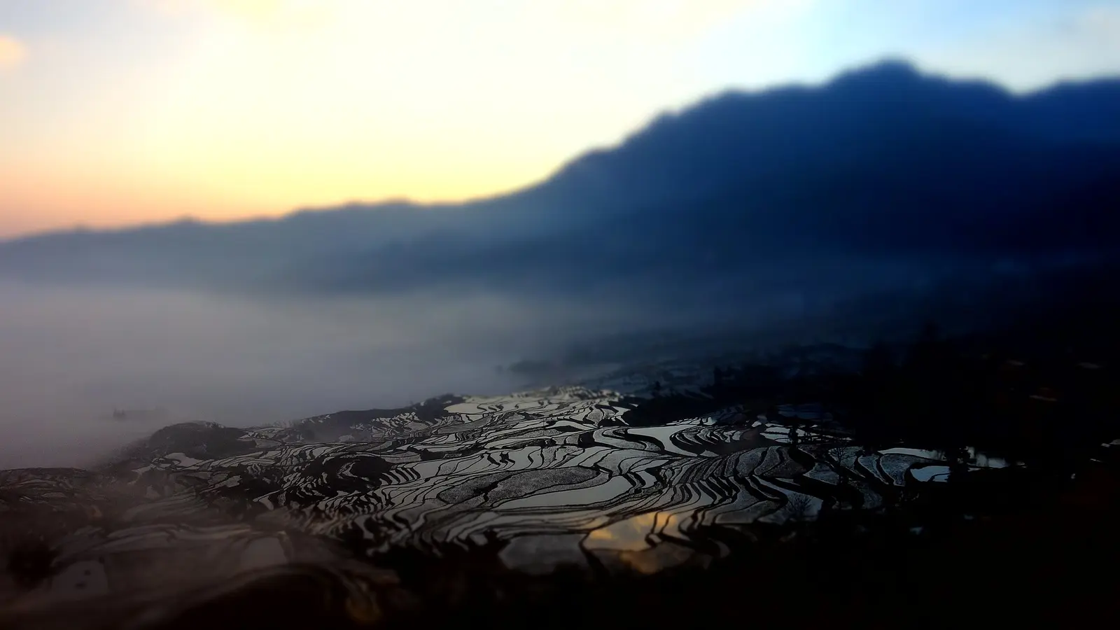 Sunrise above misty water-filled rice terraces beneath dark mountains
