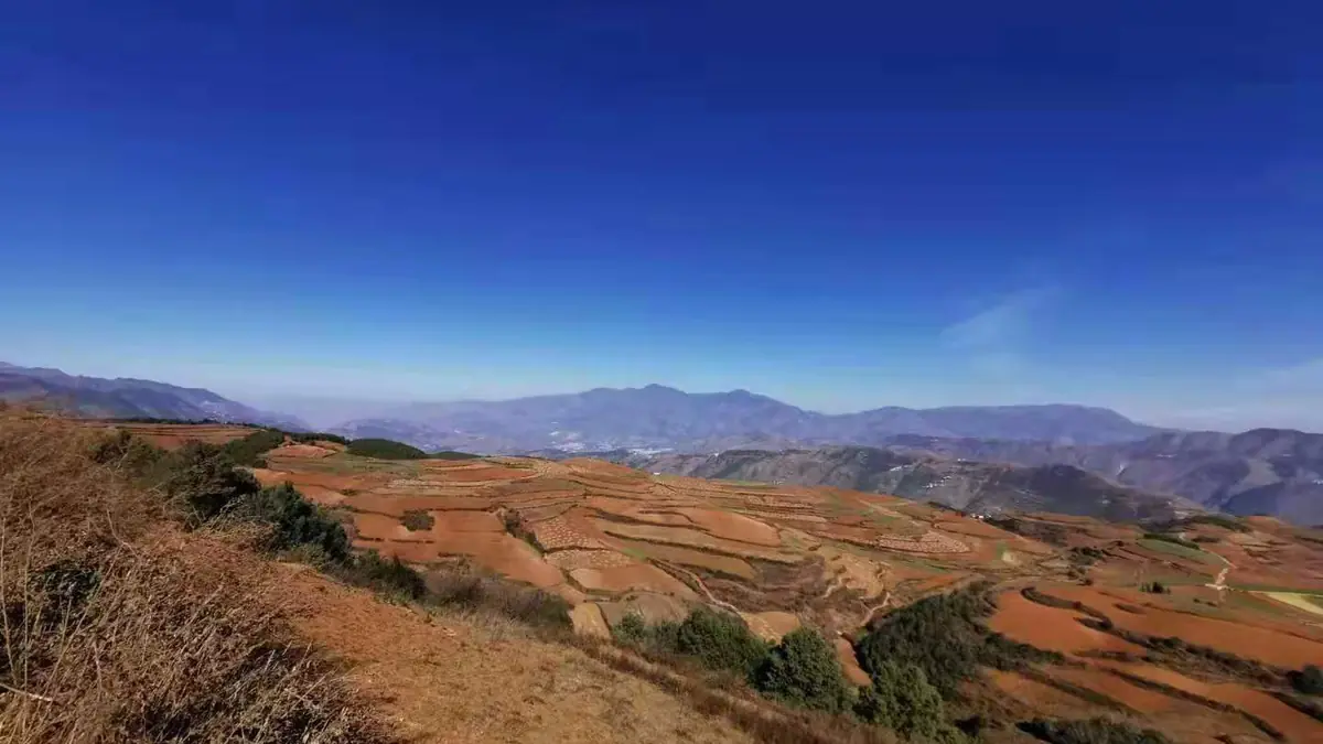 Brown-and-red farmland extending across dry rolling hills beneath a clear blue sky