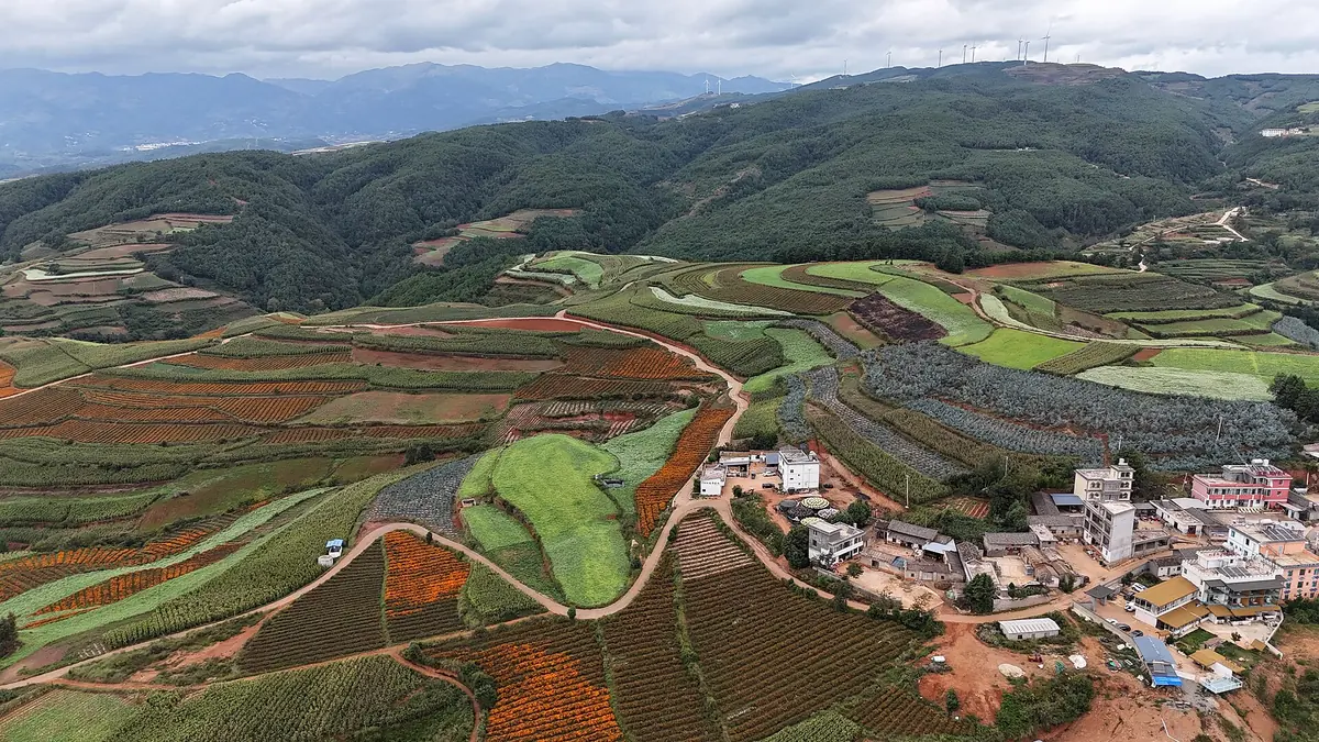 Colorful terraced farmland and village houses beneath rolling green hills in Yunnan