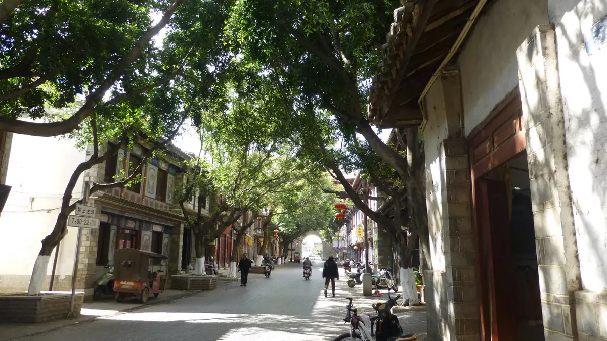 Sendero peatonal arbolado junto a casas tradicionales de madera y muros claros