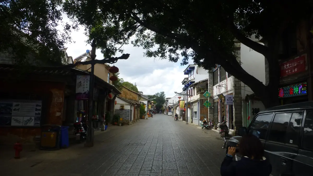 Tranquila calle comercial tradicional bajo árboles frondosos