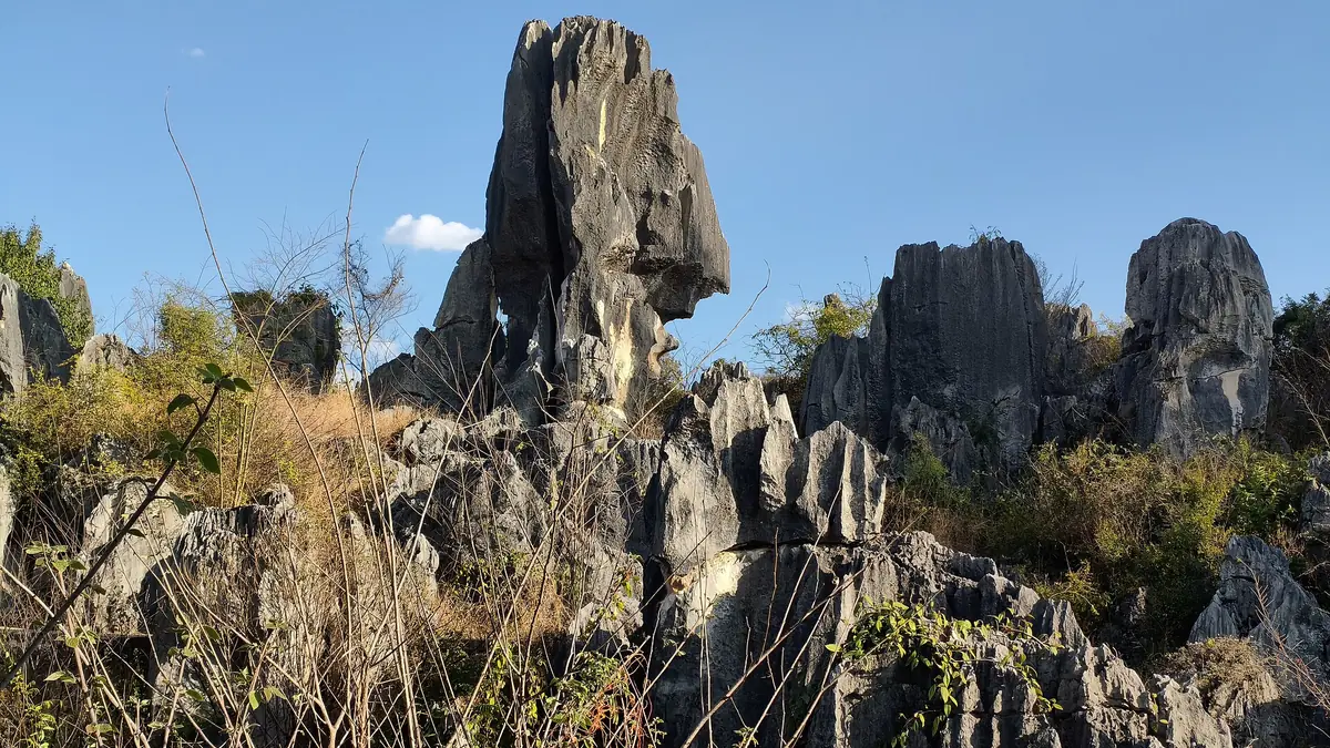 Jagged limestone pillars among dry grass and small shrubs beneath a blue sky