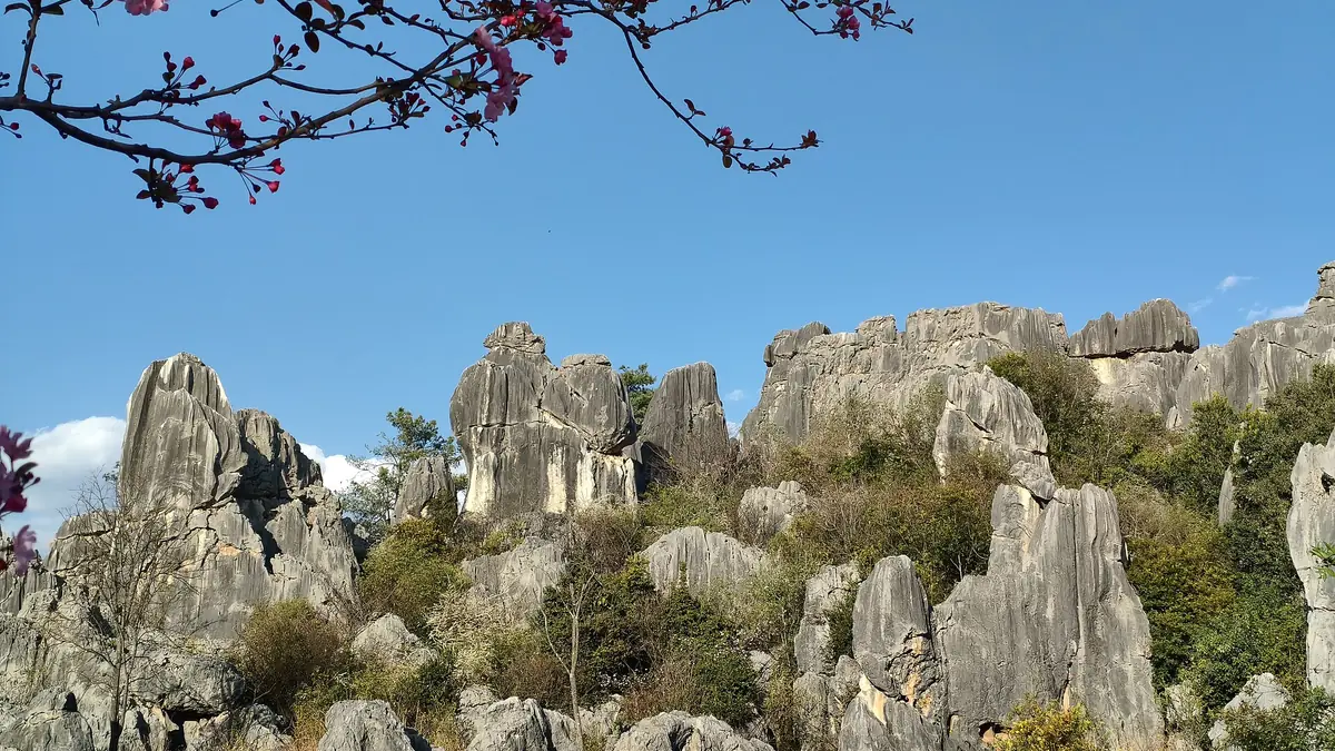 Uneven limestone pillars among green shrubs beneath a blue sky