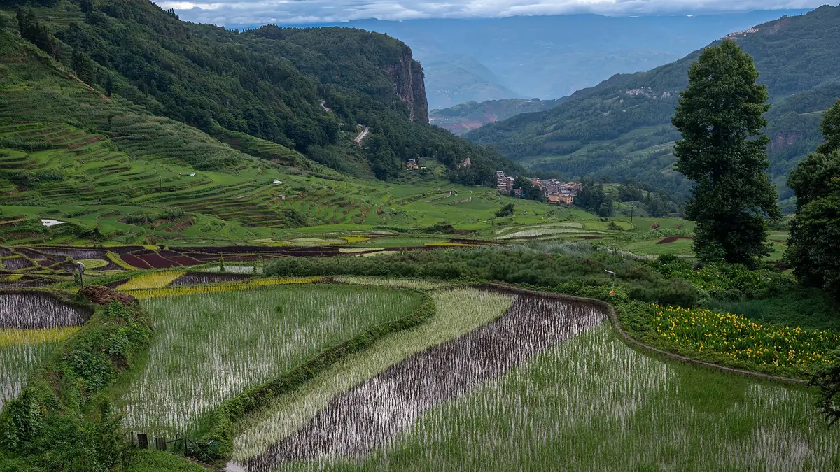 Water-filled terraced fields below green hills and a tall rocky outcrop