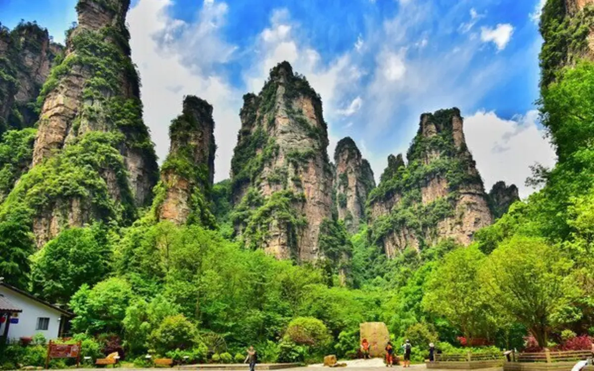 Tall tree-covered sandstone pillars above a green park in Zhangjiajie