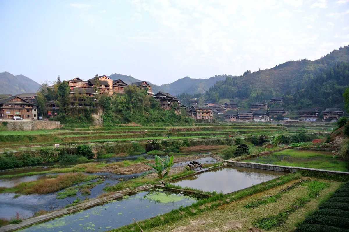 Dong village buildings and rice fields at Chengyang, Guangxi